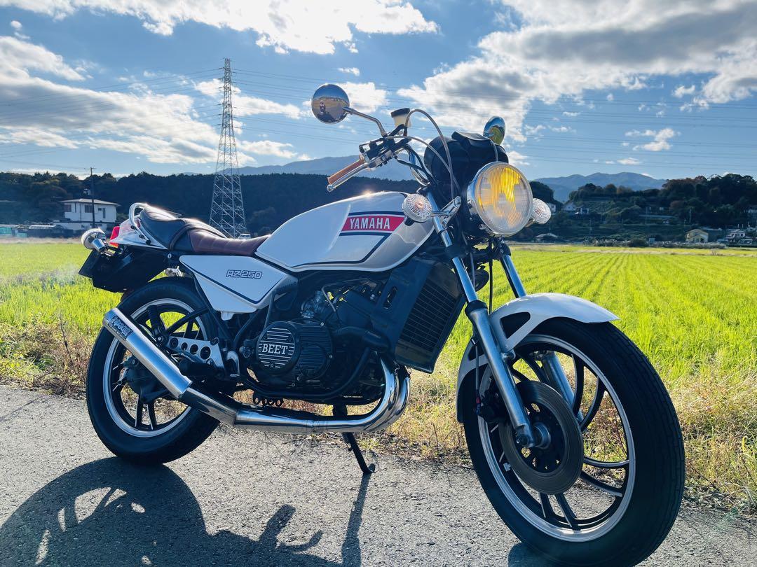 RZ250