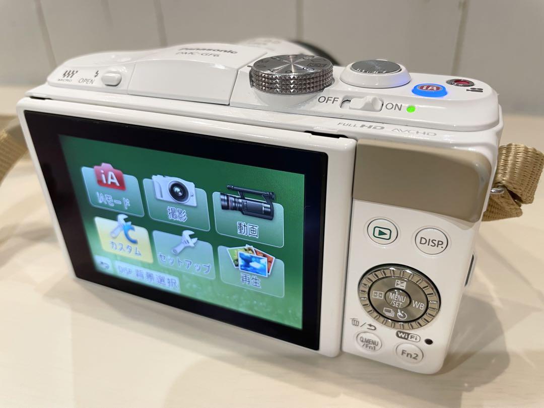 DMC-GF6