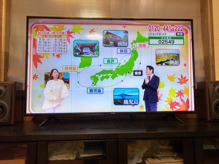 送料無料　55インチ、2021年製、4k対応液晶テレビ、アイリス　55UB10P
