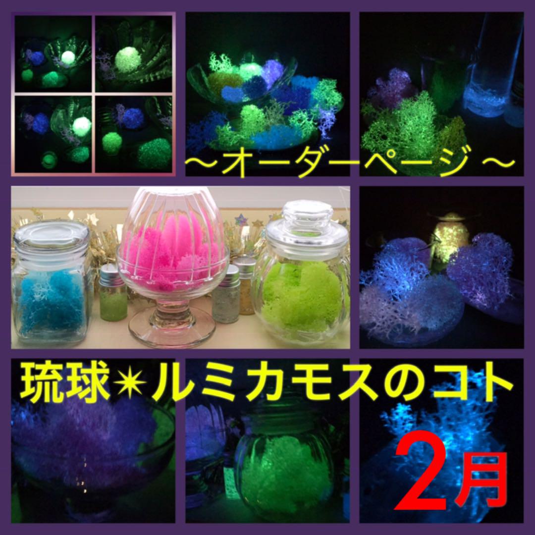 37%割引ブルー系超爆安 琉球✴︎ ルミカモスのコト ♪ ✴︎2019✴︎{ご注文ページ} ハーバリウム フラワー/ガーデン ハンドメイドブルー系-WWW.PDBOHDANOVCE.SK 37%割引ブルー系超爆安 琉球✴︎ ルミカモスのコト ♪ ✴︎2019✴︎{ご注文ページ} ハーバリウム フラワー/ガーデン ハンドメイドブルー系-WWW.PDBOHDANOVCE.SK