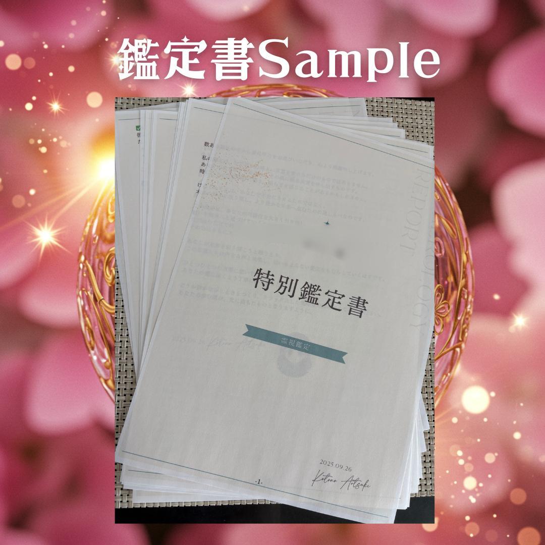 S様専用 S様専用