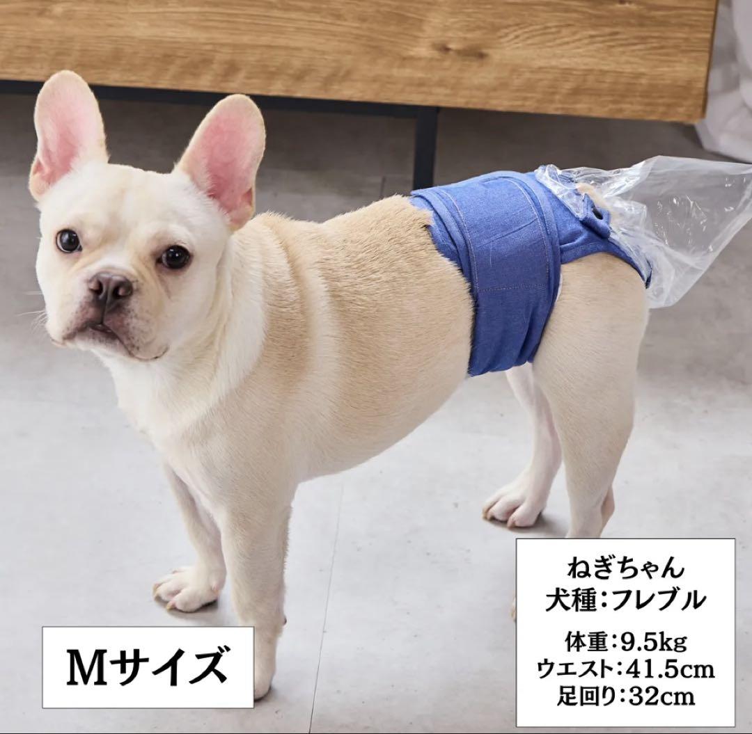 最新改良版 Mサイズ♪