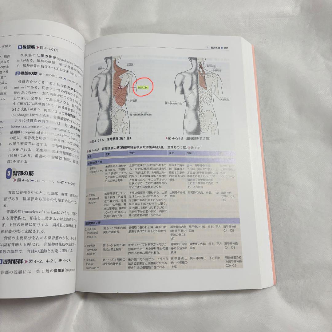 標準理学療法学・作業療法学 第5版
