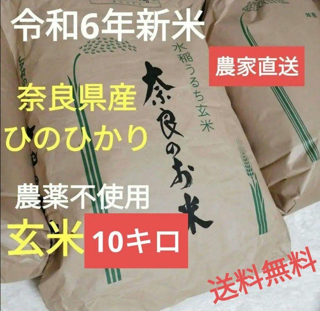 通販食品・飲料・酒 - 農家直送 農薬不使用 令和6年新米 玄米10