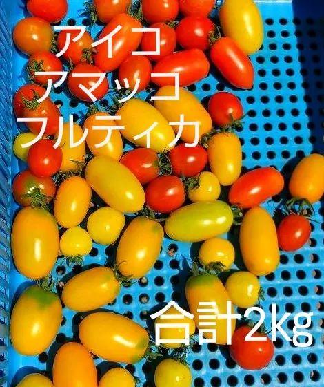 ミニトマト 中玉トマト 合計2 レビュー高評価の商品 合計2 ミニトマト 中玉トマト 合計2 レビュー高評価の商品 合計2