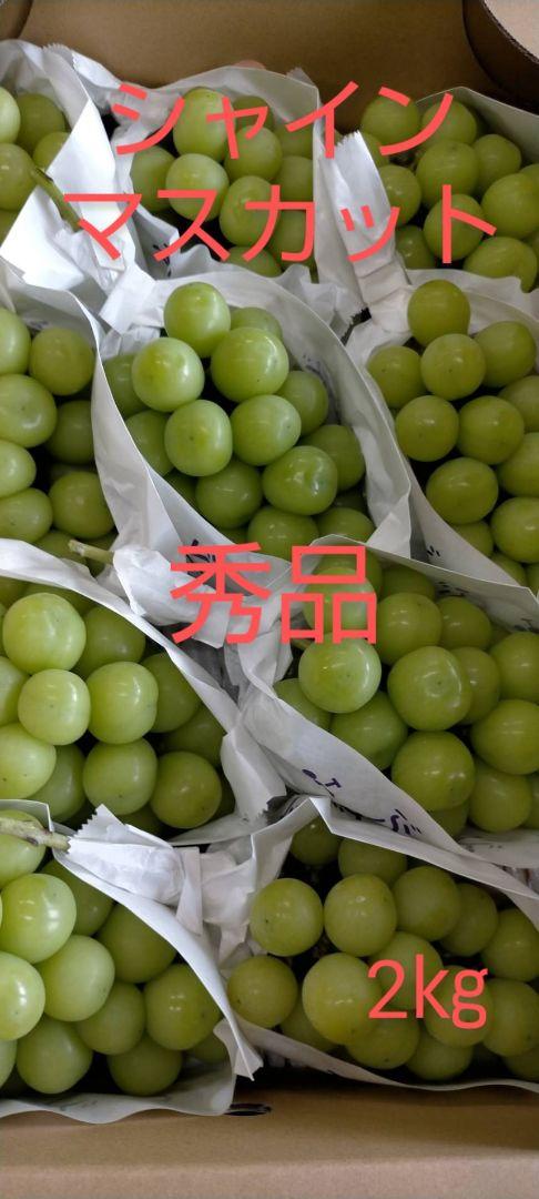 信州産 シャインマスカット 秀品3~5房 ぶどう 2㎏以上