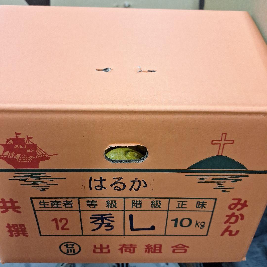 はるか 　Lサイズ　箱込み 8kg　キズ多め×2箱