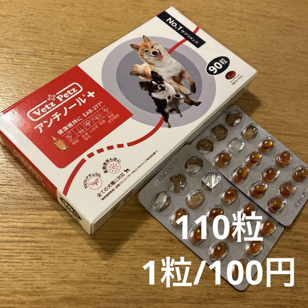 アンチノール　犬用　110粒