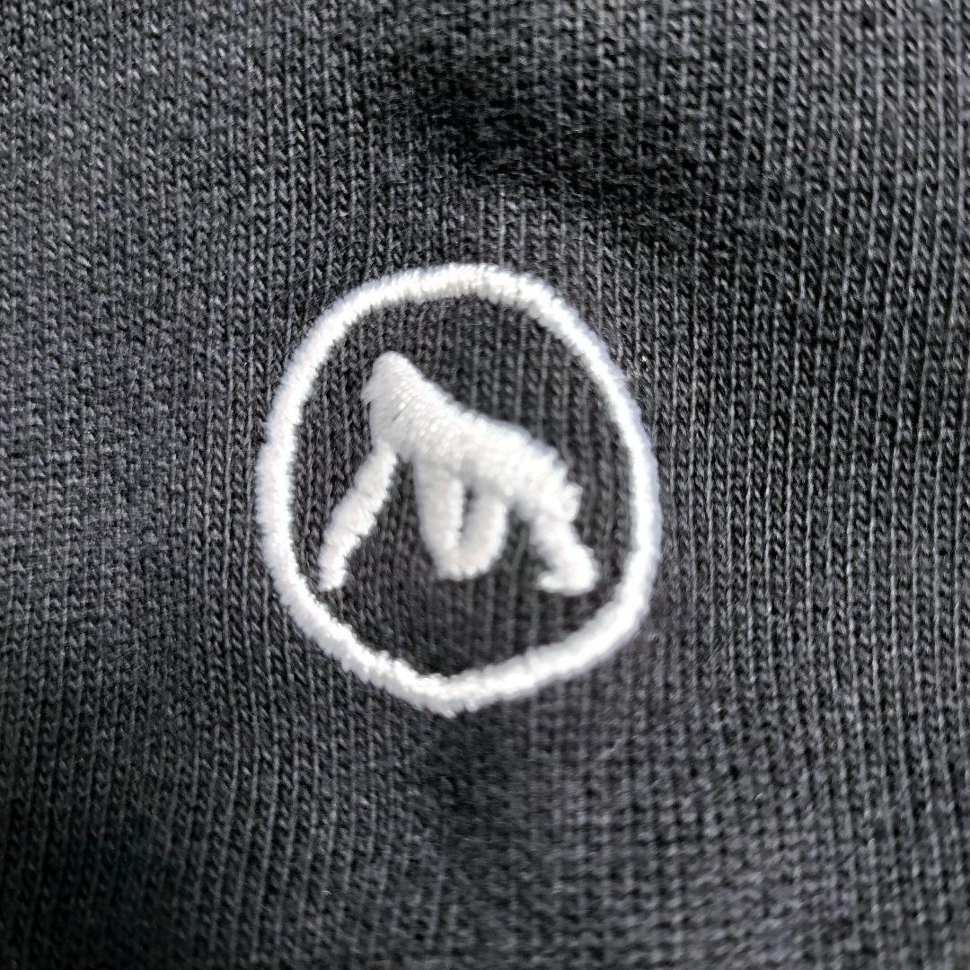 XLARGE エクストララージ TEAM PANELED パーカー  グリーン