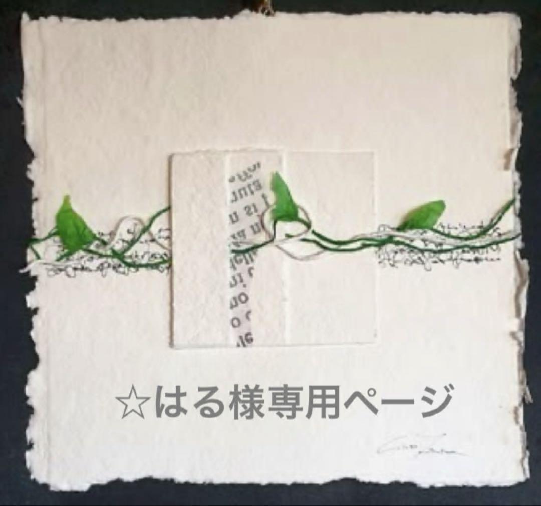 ☆はる様専用ページです