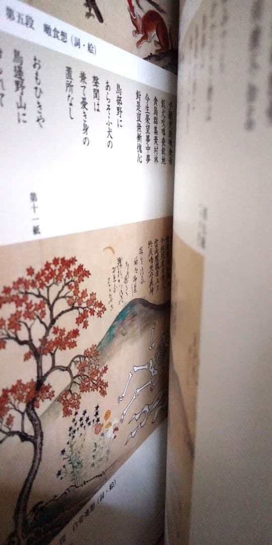 九相図資料集成 : 死体の美術と文学 | www.paradisiahotel.bj