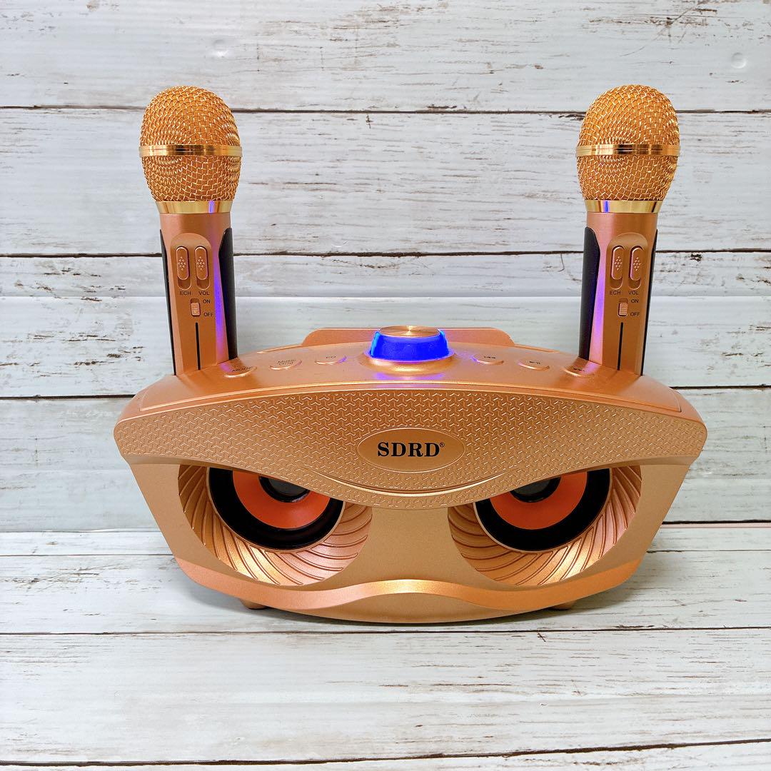 SDRD SD-306S ワイヤレススピーカー カラオケ使用 Bluetooth