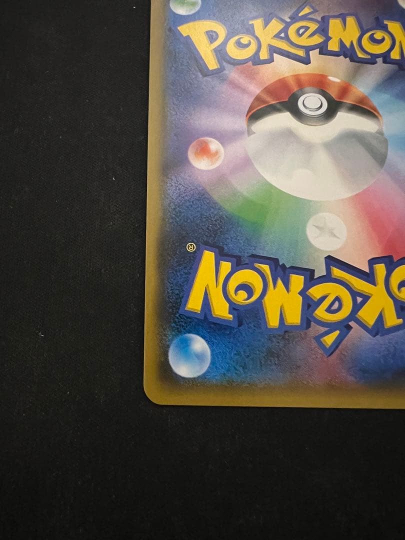 ルザミーネ2枚セット ルザミーネ2枚セット