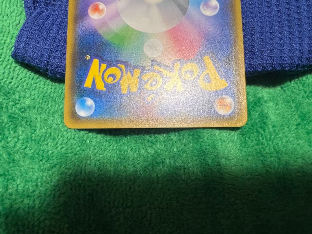 ルザミーネ2枚セット ルザミーネ2枚セット