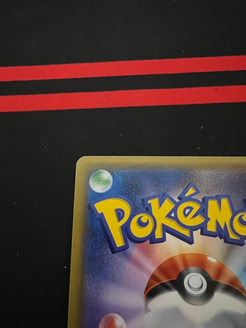 ルザミーネ2枚セット ルザミーネ2枚セット