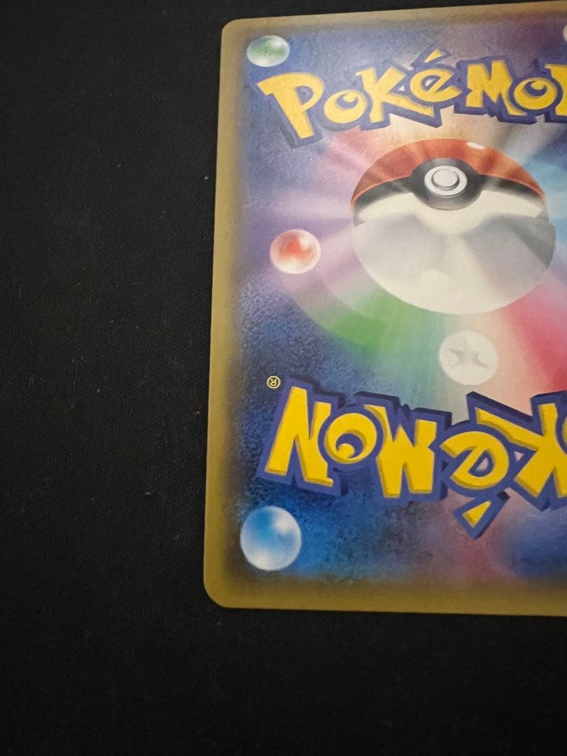 ルザミーネ2枚セット ルザミーネ2枚セット