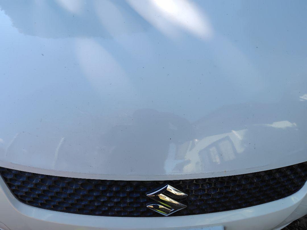 ✟ スズキ