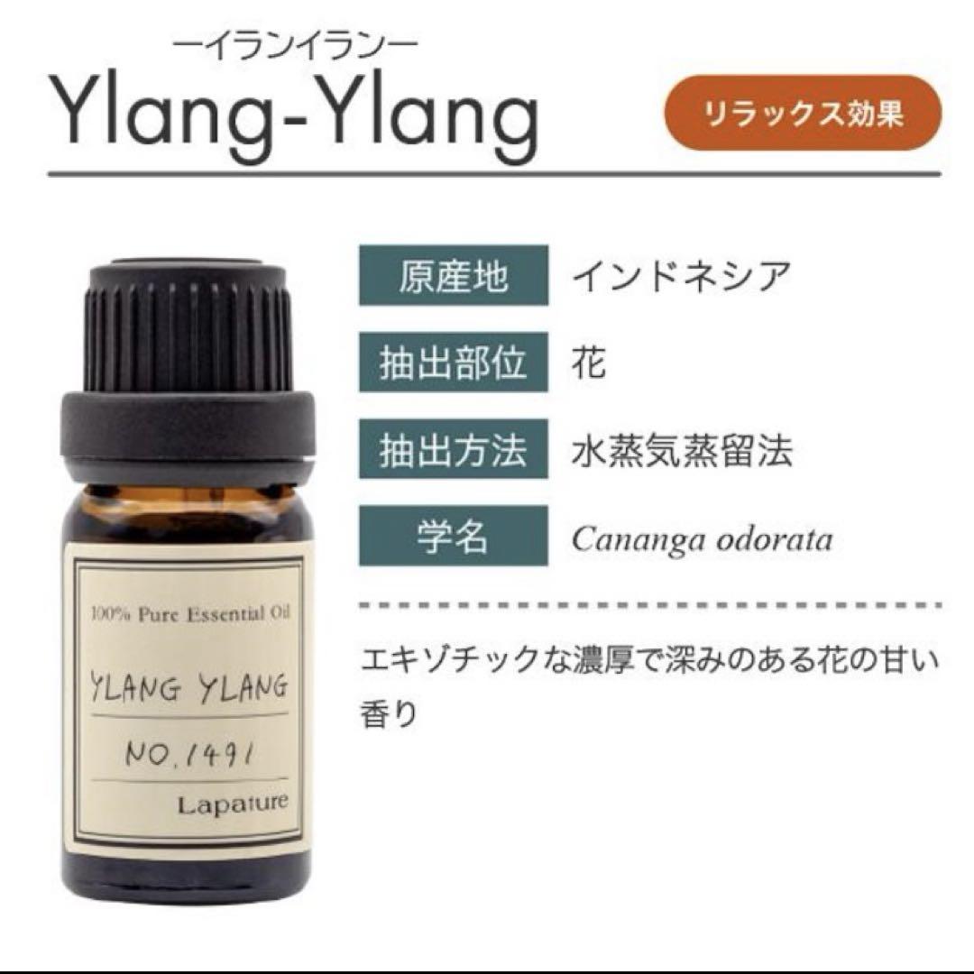 Amazon.co.jp: セイクレッド フランキンセンス