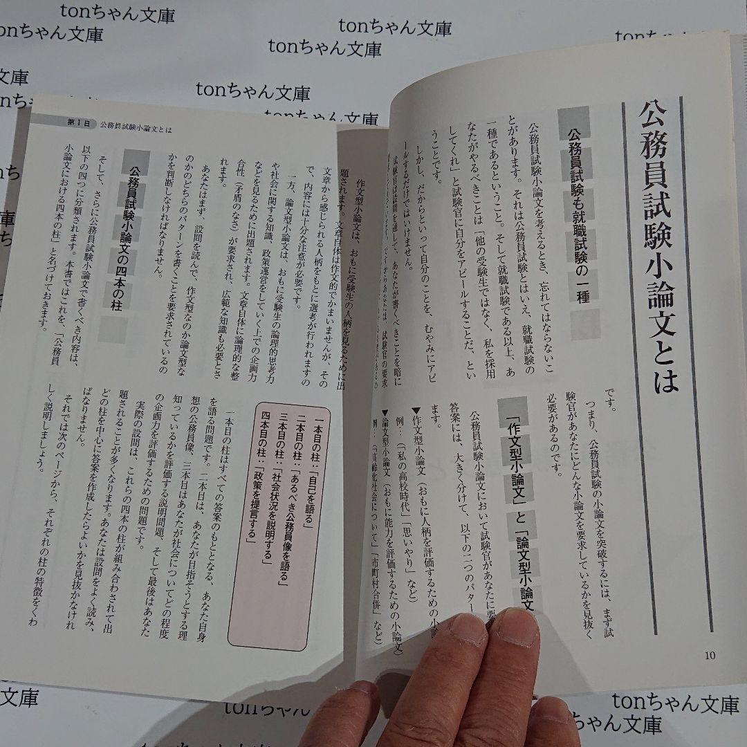 19年度版 絶対決める 実践添削例から学ぶ 公務員試験 論文 作文 メルカリ