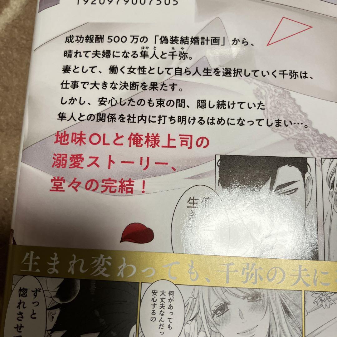 ギラつき上司と偽装結婚!?8 その他