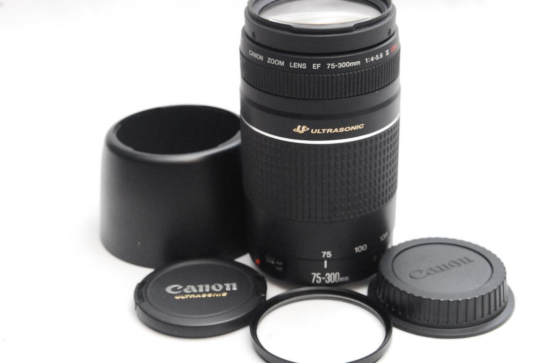 CANON ZOOM LENS EF 75-300mm 1:4-5.6 ⅢUSM
