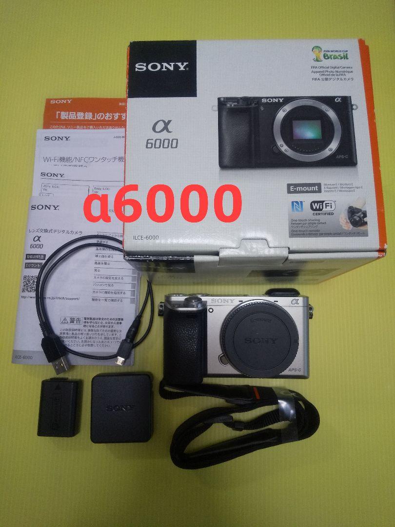 sony α6000