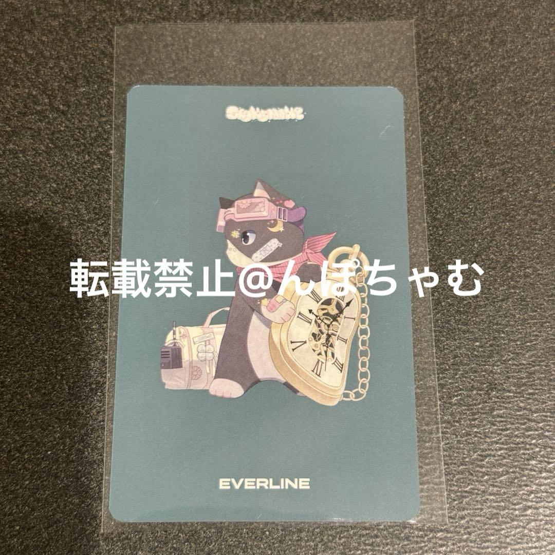 saymyname トレカ カニ everline ヨントン 応募トレカ カニー saymyname トレカ カニ everline ヨントン 応募トレカ カニー