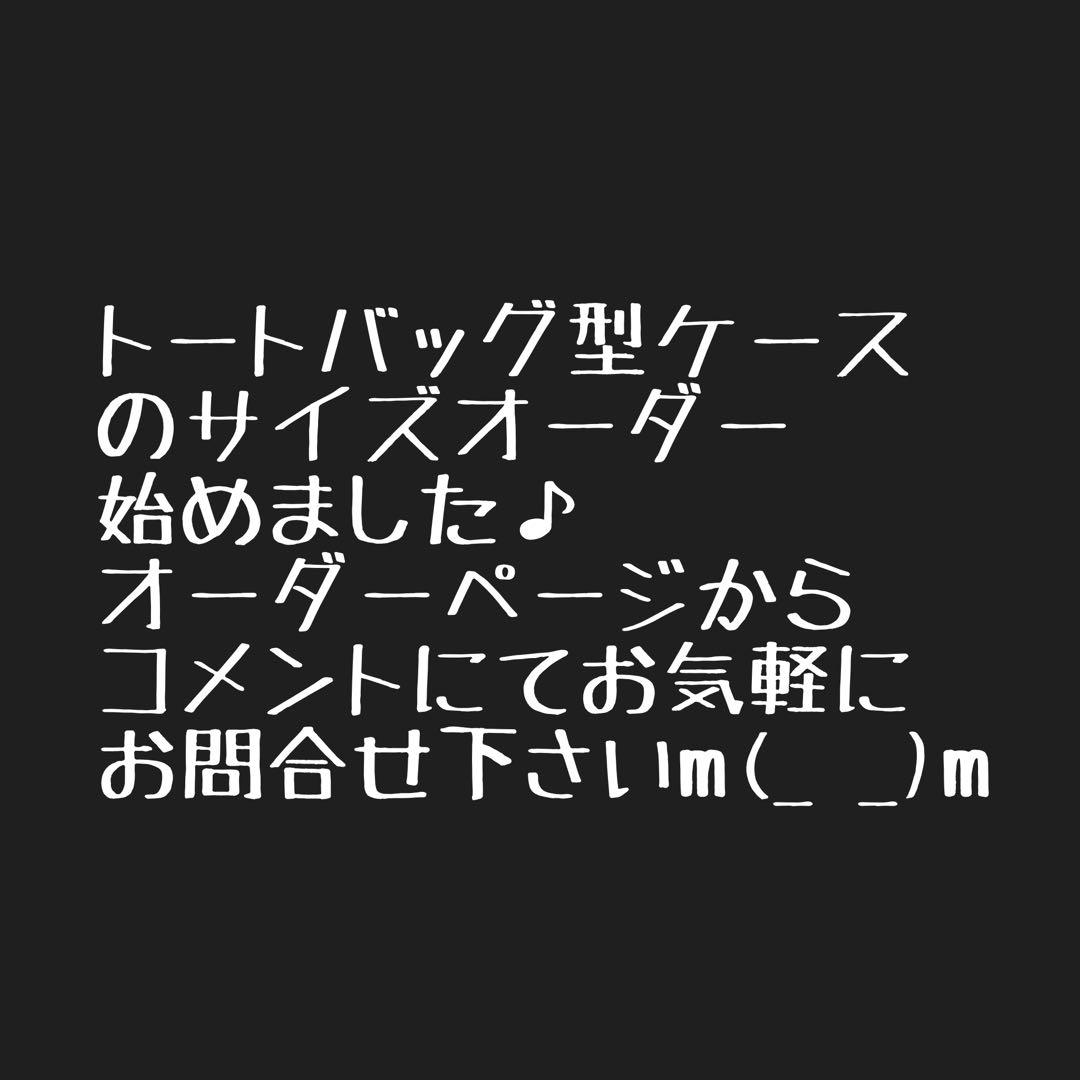 ハマチアッソブ AS2OV ローバーチェア用収納トートバッグ ケースＥ×2