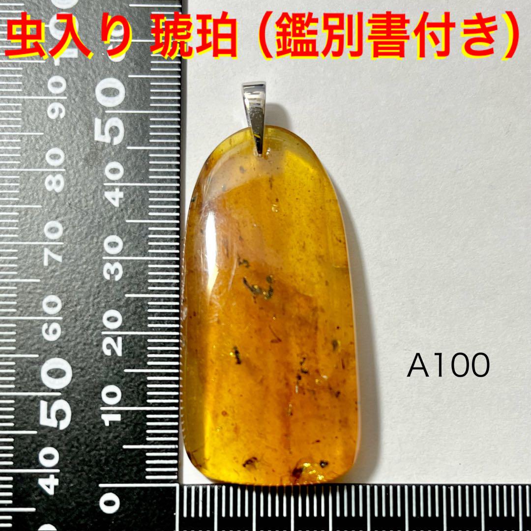 ◉天然石 虫入り 琥珀 ペンダントトップ （鑑別書付き）（4L）