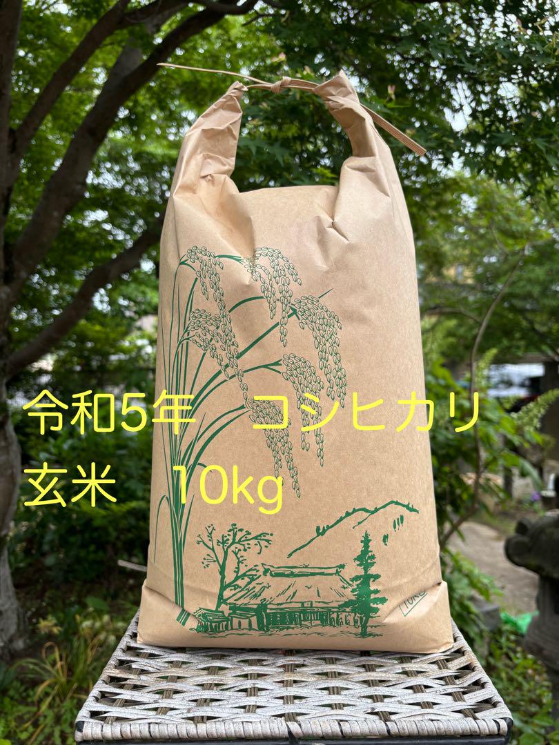 茨城県産　コシヒカリ10kg 送料込み