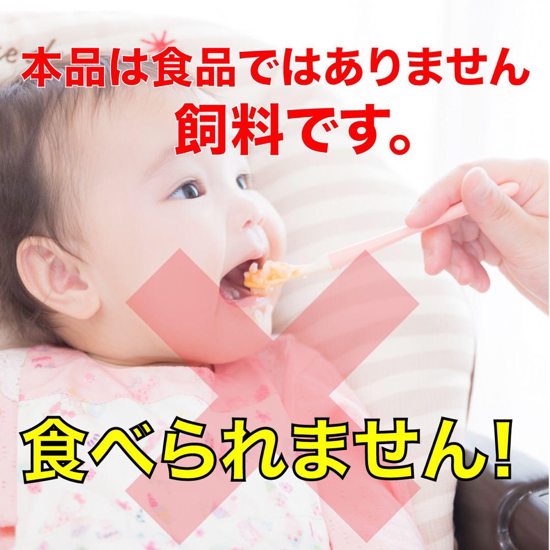 ハイカロリー餌 『ハマチEPフレンド6』6㎜ 1kg沈下性 高タンパク