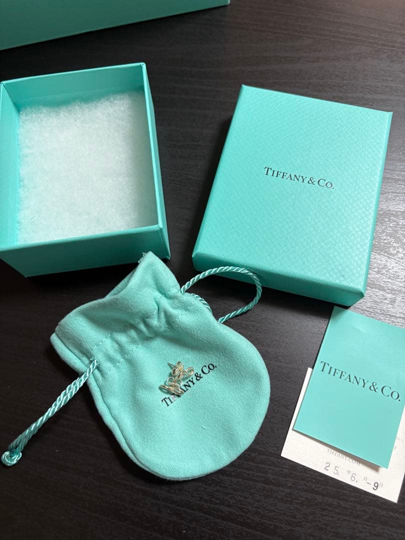 Tiffany & Co. シルバーインフィニティピアス