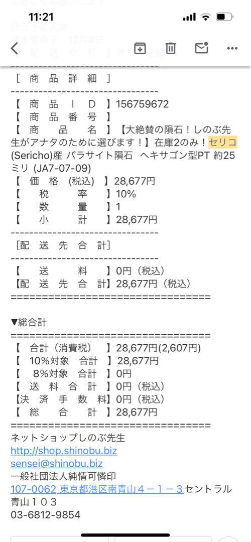 セリコ(パラサイト隕石) ペンダントトップ　25㎜サイズ
