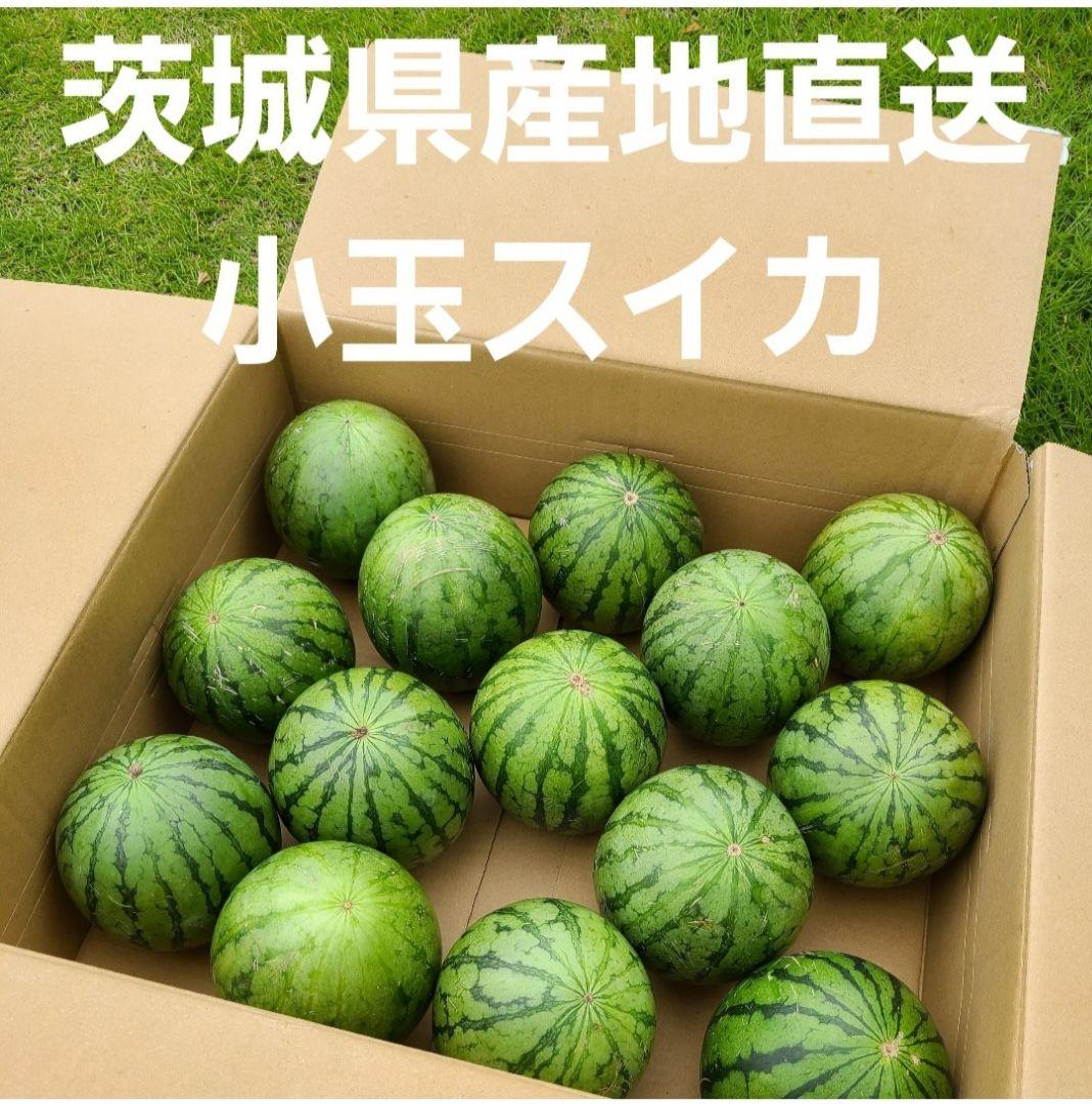茨城県産　産地直送　小玉スイカ　スウィートキッズ　約20~21個