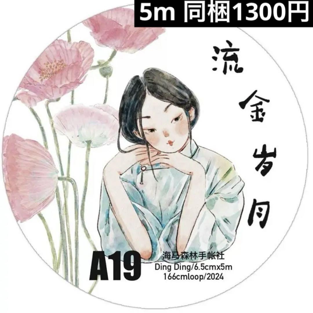 新品DINGDINGA19流金歳月PET霧面マスキングテープマステ5m