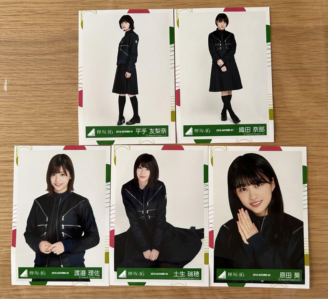 欅坂46 生写真 2018-AUTUMN-01.02.03.04 5点セット 画像1