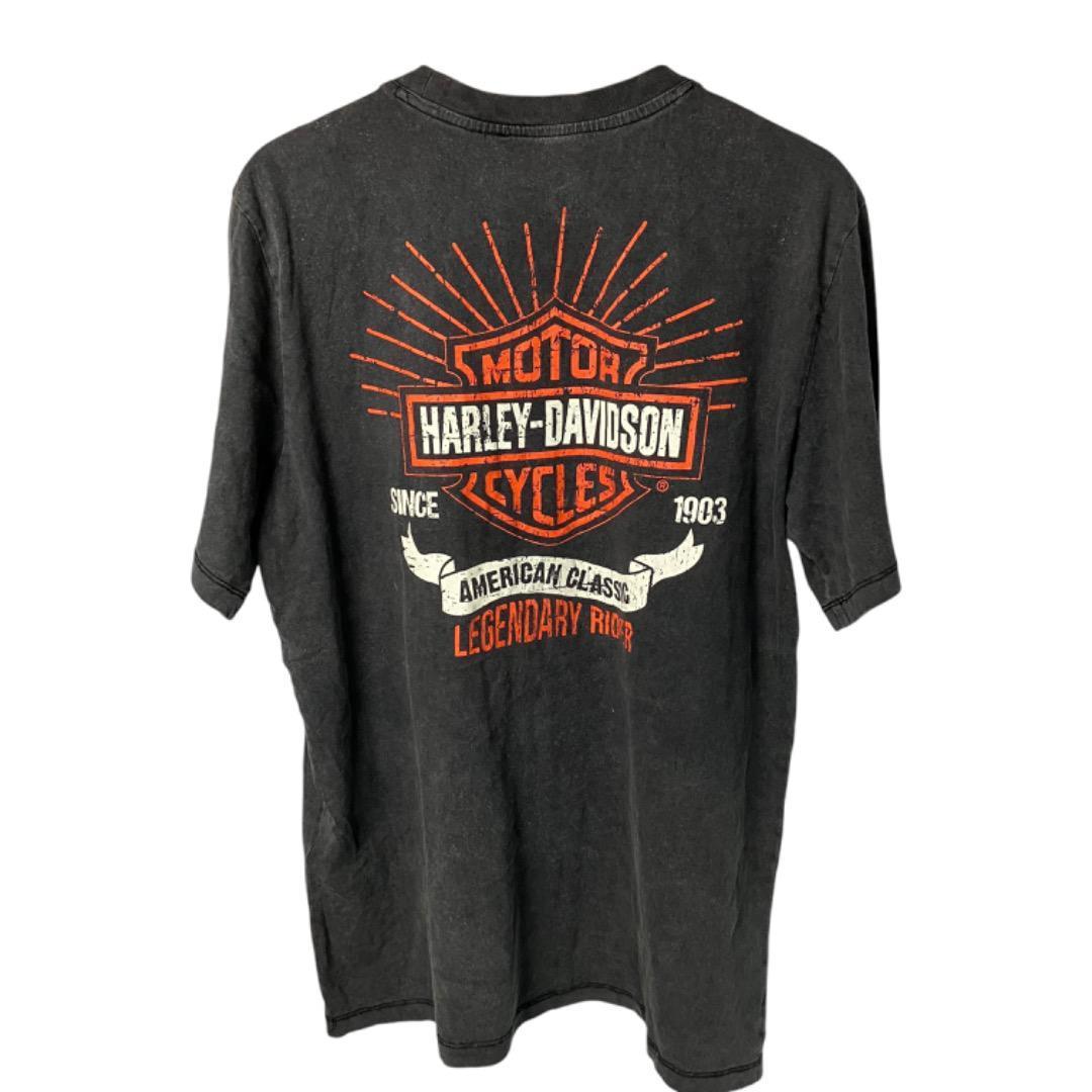 新しいスタイル イーグルデザイン ハーレーダビッドソン Tシャツ フェード トップス