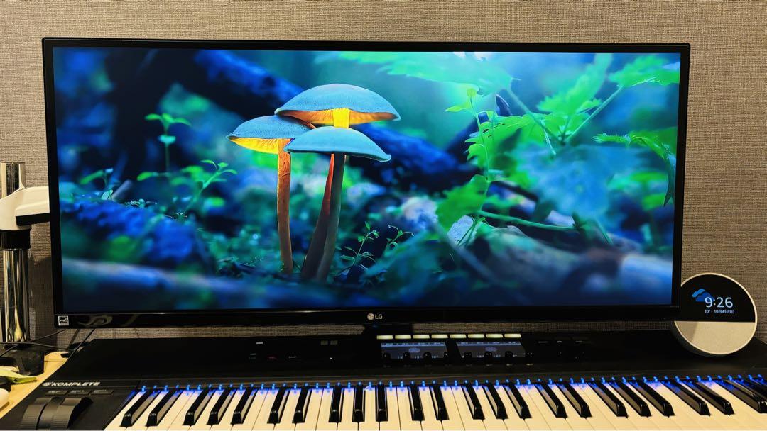 LG ウルトラワイド 34型 スピーカー搭載 34UM67-P ディスプレイ LG ウルトラワイド 34型 スピーカー搭載 34UM67-P ディスプレイ