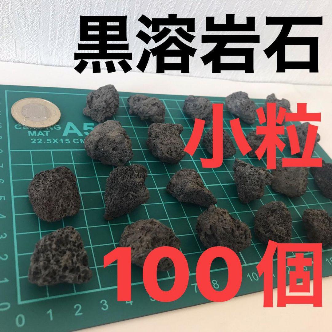 黒溶岩石 小粒100個 アクアリウム テラリウム コゲリウム 水草