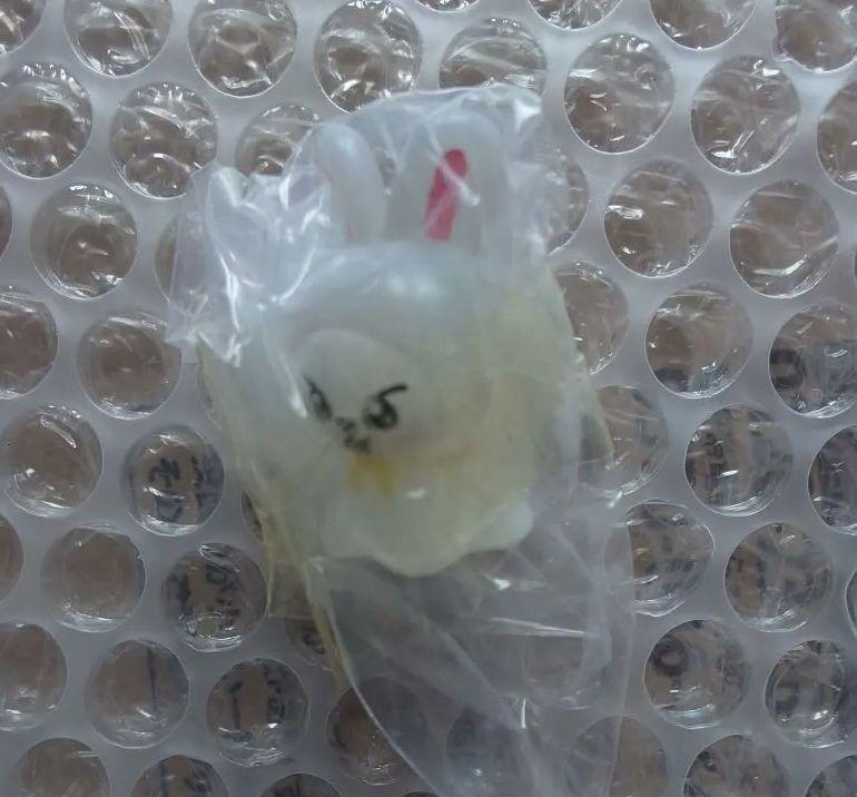 SKZOO めじるしアクセサリー 　色々14個