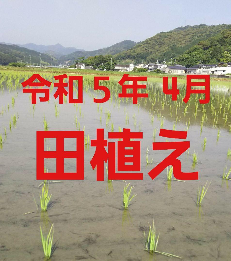 送料込み 令和5年産 高知県産 新米コシヒカリ 玄米30㎏(袋込み)
