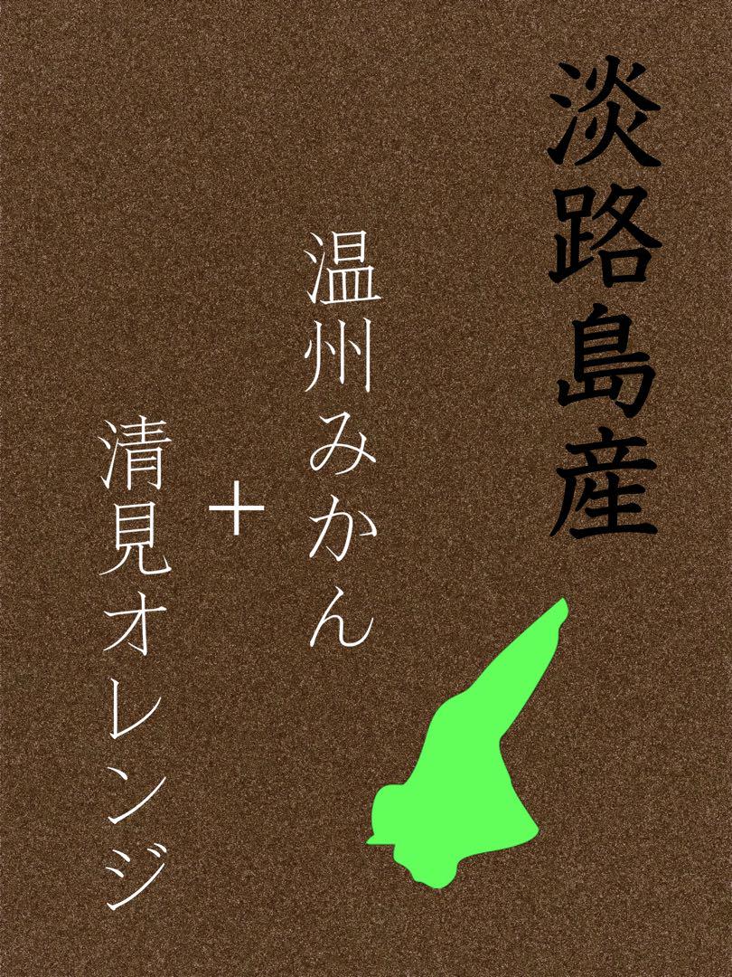 ⭐︎温州みかんと清見オレンジのうまうま柑橘セット⭐︎