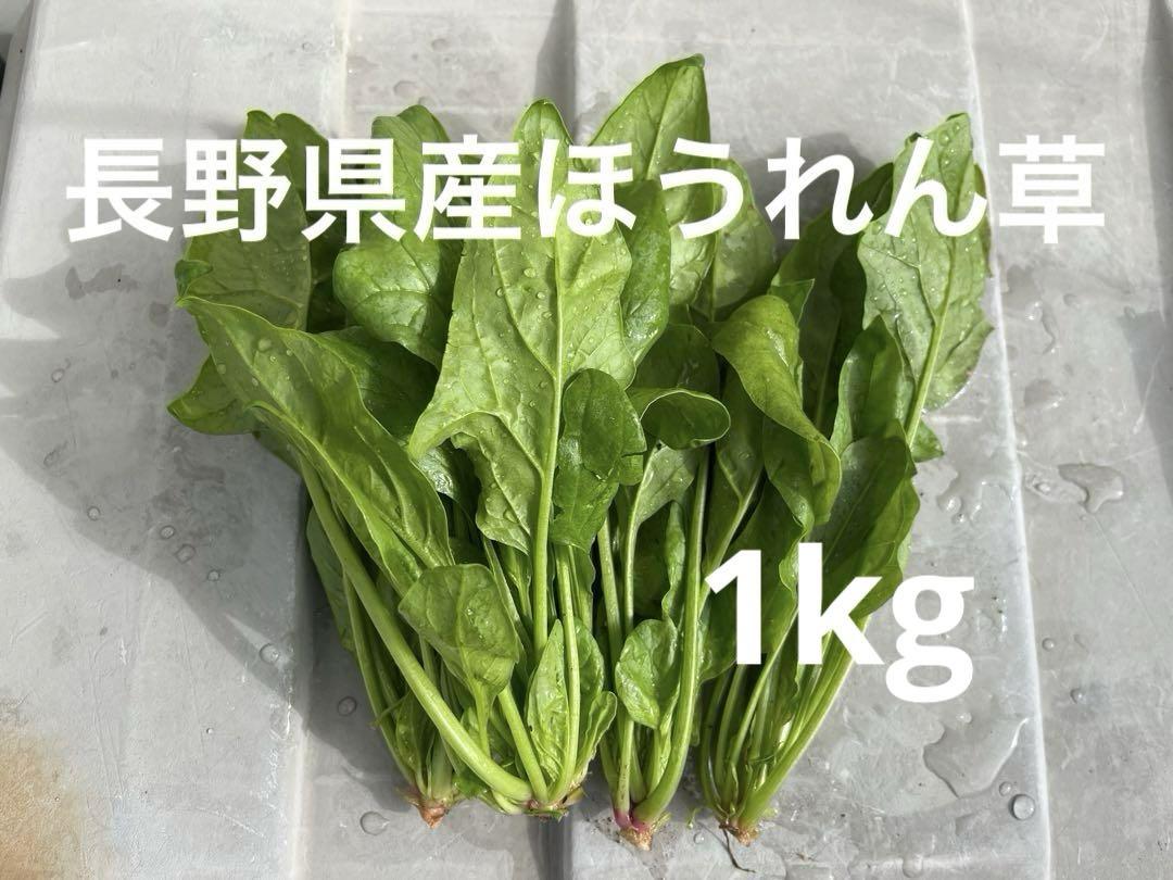 長野県産ほうれん草1kg