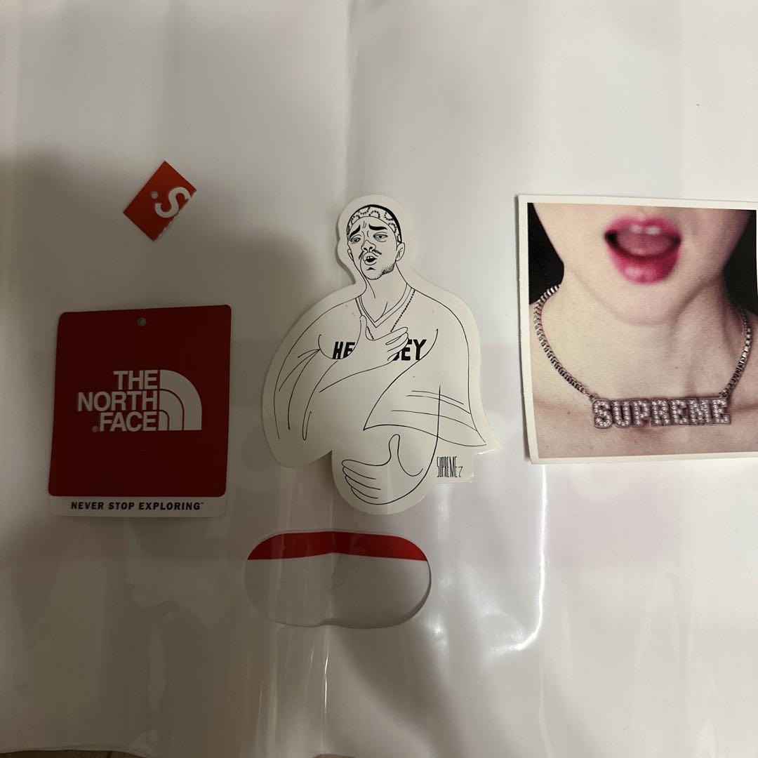 ジャケット・アウター Supreme The North Face Mountain Baltoro