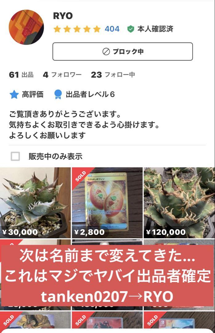 アガベチタノタ悪魔くんOC株親株出品(検索)大白鯊皇冠スパチタ麻花龍