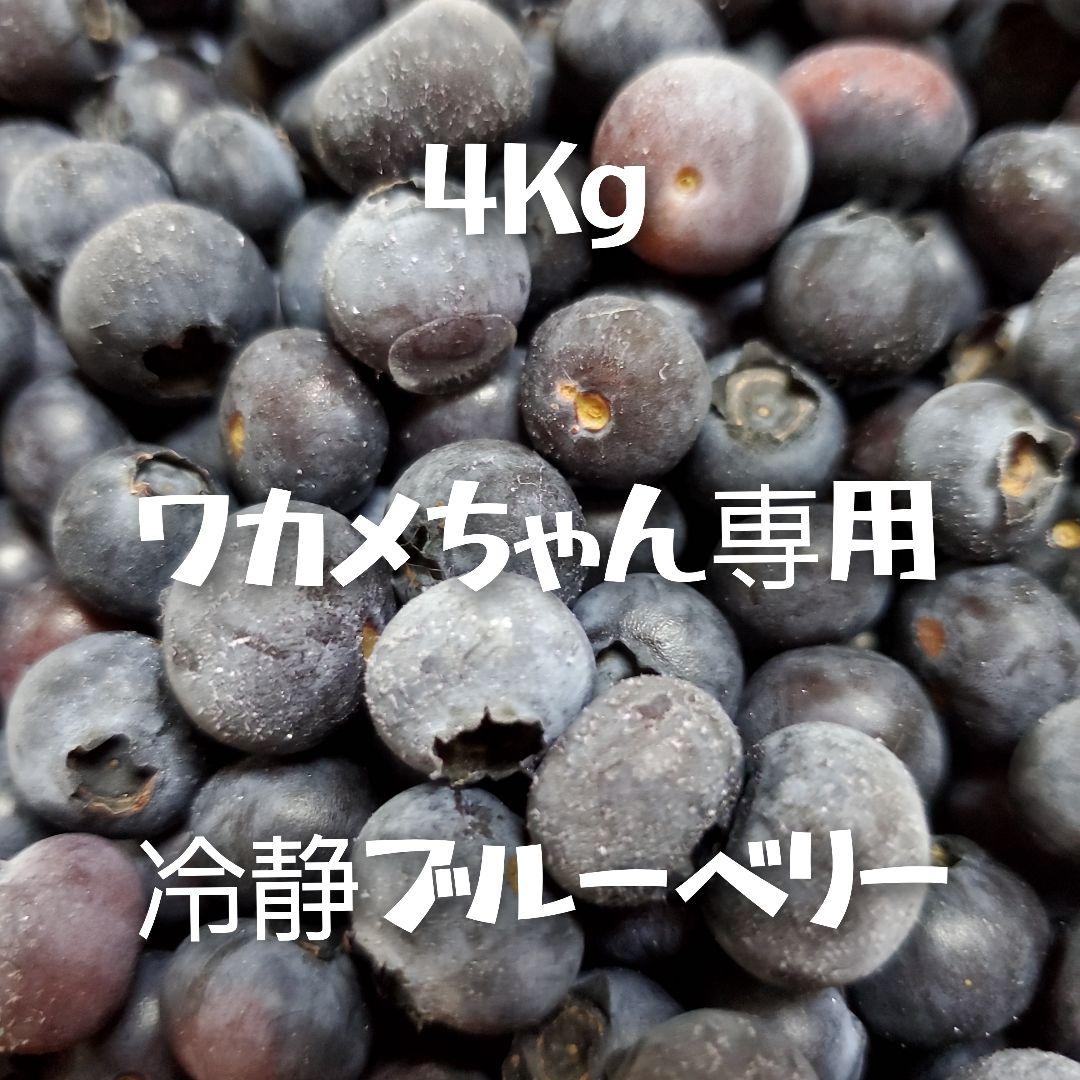 【わかめちゃん】冷凍ブルーベリー4kg
