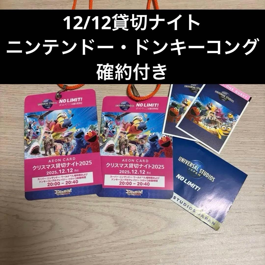 USJ クリスマス 貸切ナイト2025 ニンテンドーエリア入場確約 2名 ユニバ