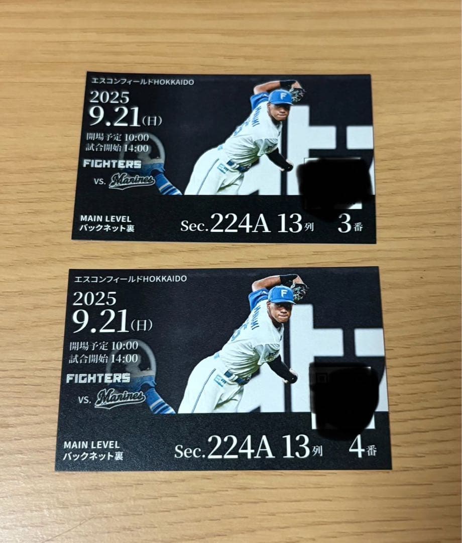 9月21日エスコンフィールドチケット　バックネット裏