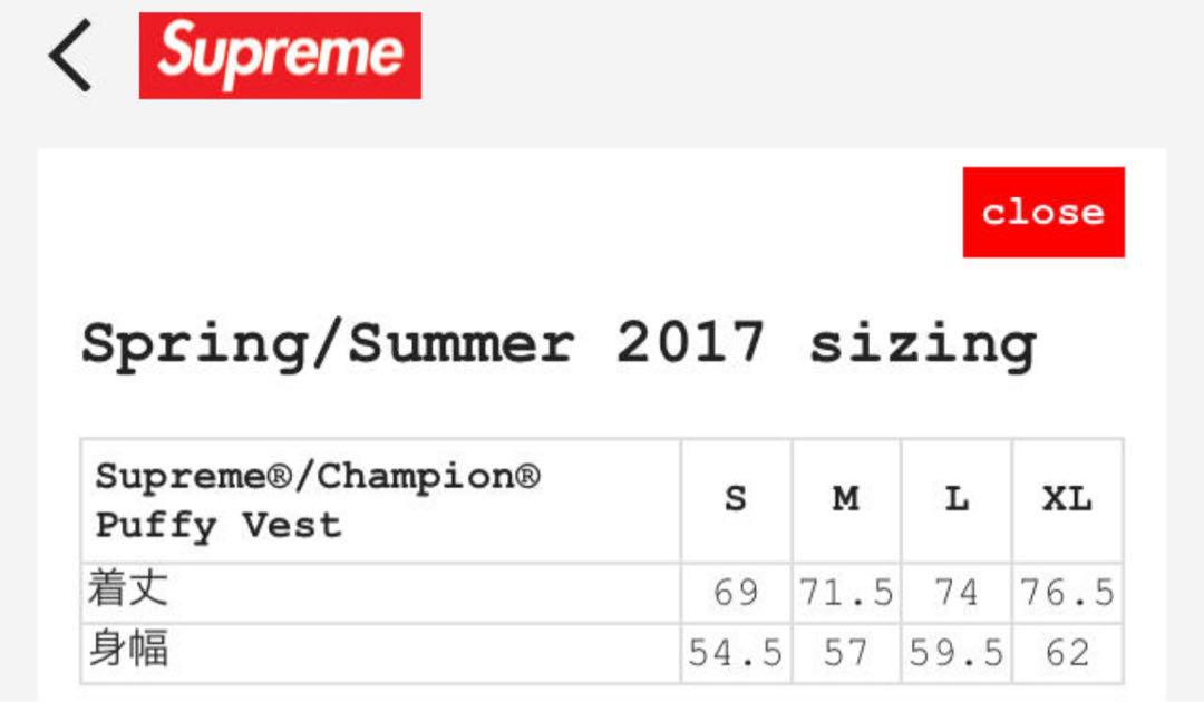 ジャケット・アウター SUPREME CHAMPION PUFFY VEST 17SS