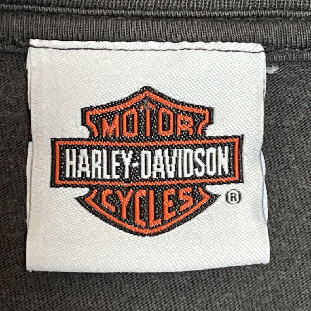 ハーレーダビッドソン ハーレーTシャツ フェードブラウン L
